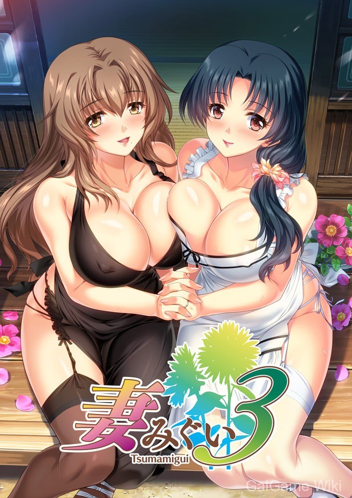 【Alice Soft】妻中蜜3 / 妻みぐい3 5 游戏封面