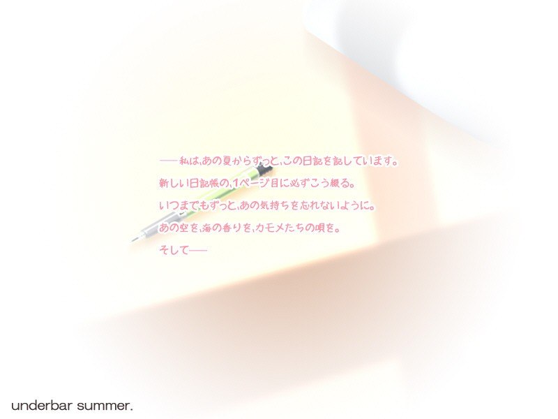 【HOOKSOFT】_summer 4 游戏截图